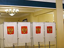 Кто из жителей Подмосковья примет участие в выборах в Мосгордуму?