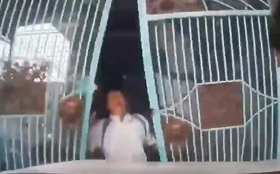 Вьетнамская автолюбительница, перепутав педали, сбила консьержа и совершила «вероломное проникновение» в офис - видео