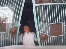 Вьетнамская автолюбительница, перепутав педали, сбила консьержа и совершила «вероломное проникновение» в офис - видео