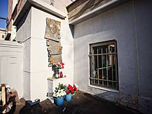 Разбивший мемориальную табличку Политковской объяснил свой поступок