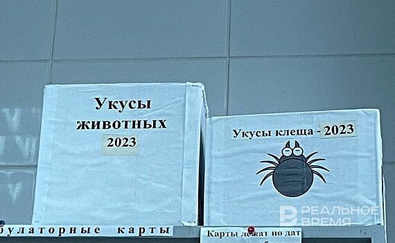 С начала эпидсезона в Татарстане зарегистрировали почти 9,4 тысячи укушенных клещами