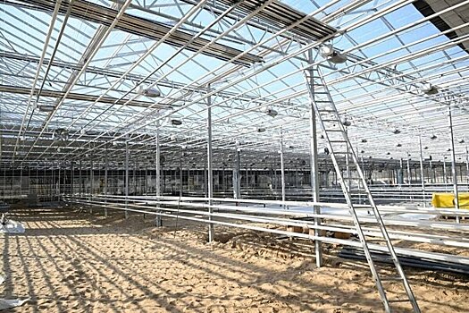 Новые теплицы "Горводзеленхоза" увеличат производство цветов в Казани
