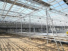 Новые теплицы "Горводзеленхоза" увеличат производство цветов в Казани