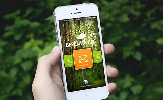Татарстанцы смогут сообщать о происшествиях в лесу через специальное мобильное приложение