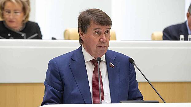 Сенатор Цеков предупредил об ответе в случае удара поставляемыми Киеву ракетами по России