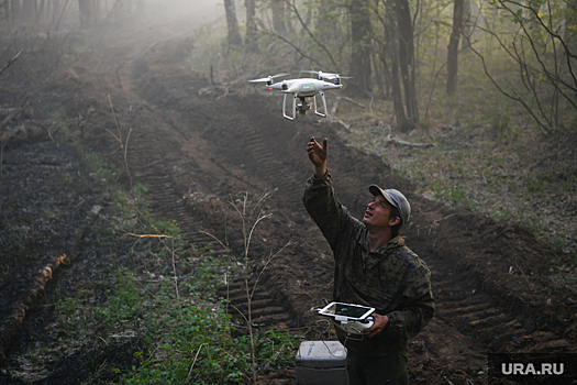 Эксперт по безопасности призвал не экономить на системах по выявлению лесных пожаров