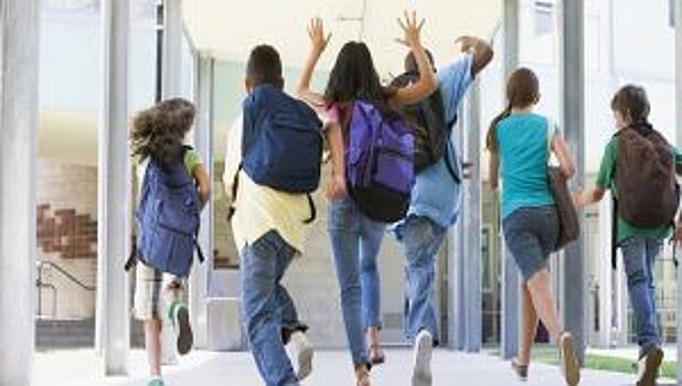 Илья Новокрещенов: организация образовательного процесса крайне важна в условиях коронавирусной угрозы