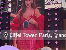 Алексей Воробьёв поддержал жену на концерте во Франции