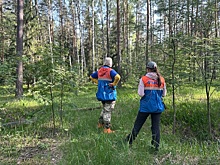 Поисковики рассказали, как ищут потерявшихся в лесах грибников