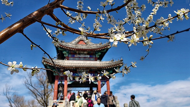 Как изменился спрос россиян на туры в Китай после отмены виз