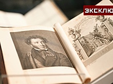 Историк назвал причины массовых краж редких изданий русских классиков в ЕС