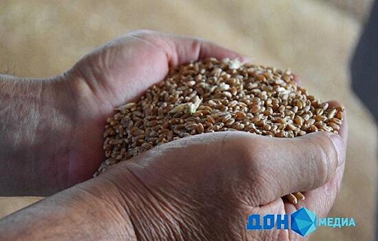В мае из Ростовской области на экспорт отправили более 485 тысяч тонн зерна