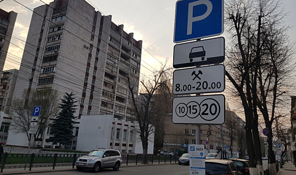 Платные парковки в Воронеже: Мэрия подумает над амнистией для неплательщиков