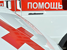 Стрелявший в собак из винтовки мужчина попал в голову семилетней девочке