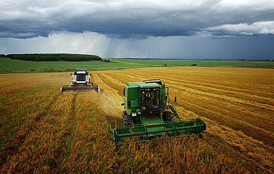 Минсельхоз сообщил о риске сокращения урожая и снижении экспорта зерна