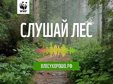 Наталья и Мурад Османн записали медитации для Всемирного фонда дикой природы