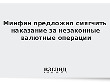 Минфин предложил смягчить наказание за незаконные валютные операции