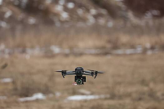 Беженка рассказала, как виноградная лоза спасла ее от украинского дрона