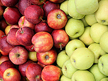 Три года продэмбарго: Европа научилась жить без России