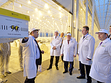 В посёлке Садовом запущен самый современный тепличный комплекс в России