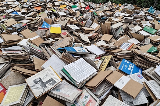 Жители Мордовии спасают леса, сдавая макулатуру