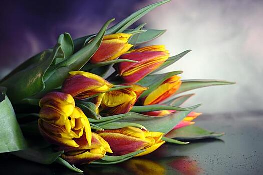 Ассоциация флористов Владивостока пообещала не поднимать цены на цветы к 8 марта