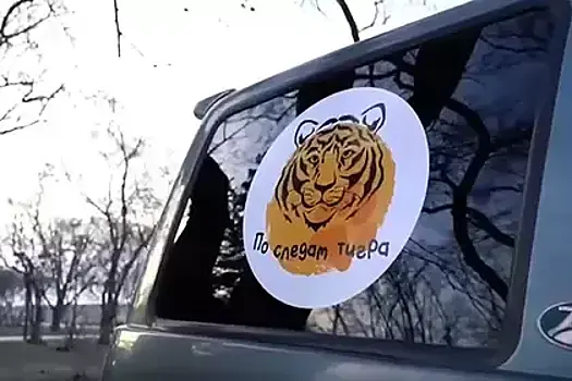 В Приамурье прошел посвященный Году тигра автопробег