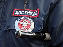 МВД предупредило о поддельных штрафах от Госавтоинспекции