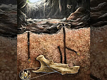 Древние пчелы использовали кости грызунов как готовые «дома» для гнезд