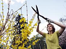 Мы хотим упростить жизнь дачникам и садоводам