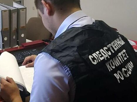 Раскрываемость дел об изнасилованиях в Москве достигла 100%