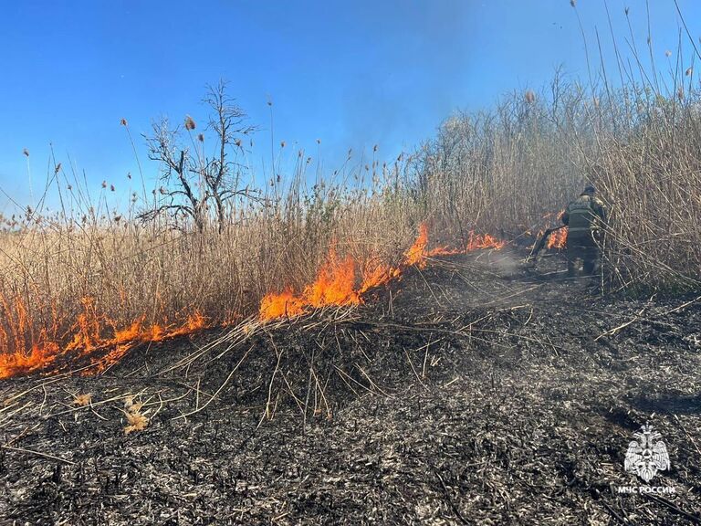 МЧС: открытое горение ликвидировано на Ставрополье, где горят дачные дома