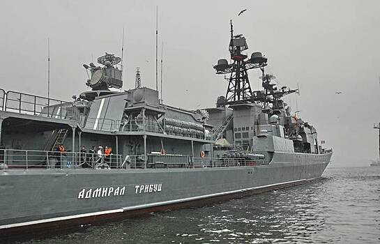 В Японском море завершились военно-морские учения России и Японии