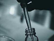 Ученые Сколтеха случайно нашли «выключатель» иммунитета бактерий