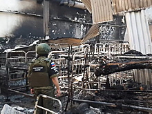 Попавший в плен военный рассказал об ударе ВФУ по колонии в Еленовке