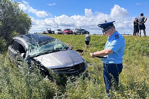 В Приамурье в ДТП погиб водитель грузовика