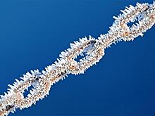 "Мастерчейн" завершил эксперимент без продолжения