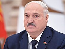 Лукашенко потребовал очистить Белоруссию от поваленных деревьев