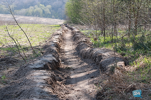 В Калужской области усилено патрулирование лесов