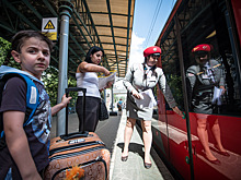 Голубя в клетке, кнут и армейские сухпайки забывали пассажиры на ж/д вокзалах Москвы в январе-мае