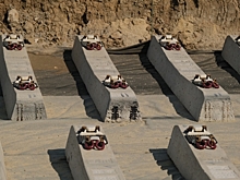 В Волгограде завершается реконструкция трамвайных путей на Марийском путепроводе