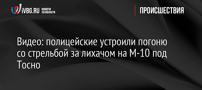 Видео: полицейские устроили погоню со стрельбой за лихачом на М-10 под Тосно