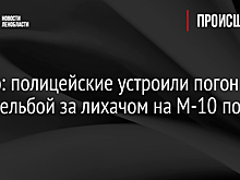 Видео: полицейские устроили погоню со стрельбой за лихачом на М-10 под Тосно