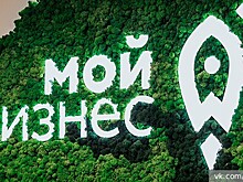 Экономист Давлеткалиев оценил меры господдержки малого и среднего бизнеса со стороны государства