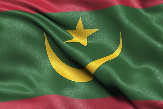Новым премьером Мавритании назначен Мохамед ульд Биляль