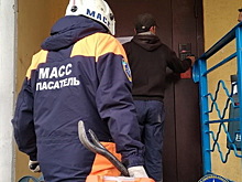 В Новосибирске спасатели взломали дверь, чтобы спасти годовалую девочку из запертой комнаты