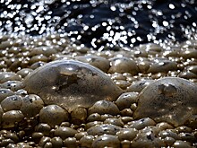 Не исключена диверсия: в США предположили причину утечки аммиака в Миссисипи