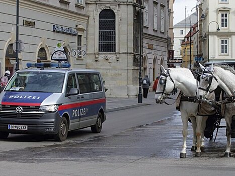В Австрии усилили меры антитеррористической безопасности к Рождеству