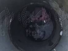 Школьница провалилась в колодец в российском городе