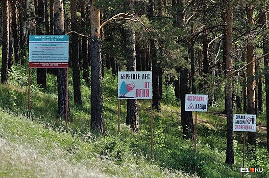 В шести лесопарках Екатеринбурга проведут генеральную уборку